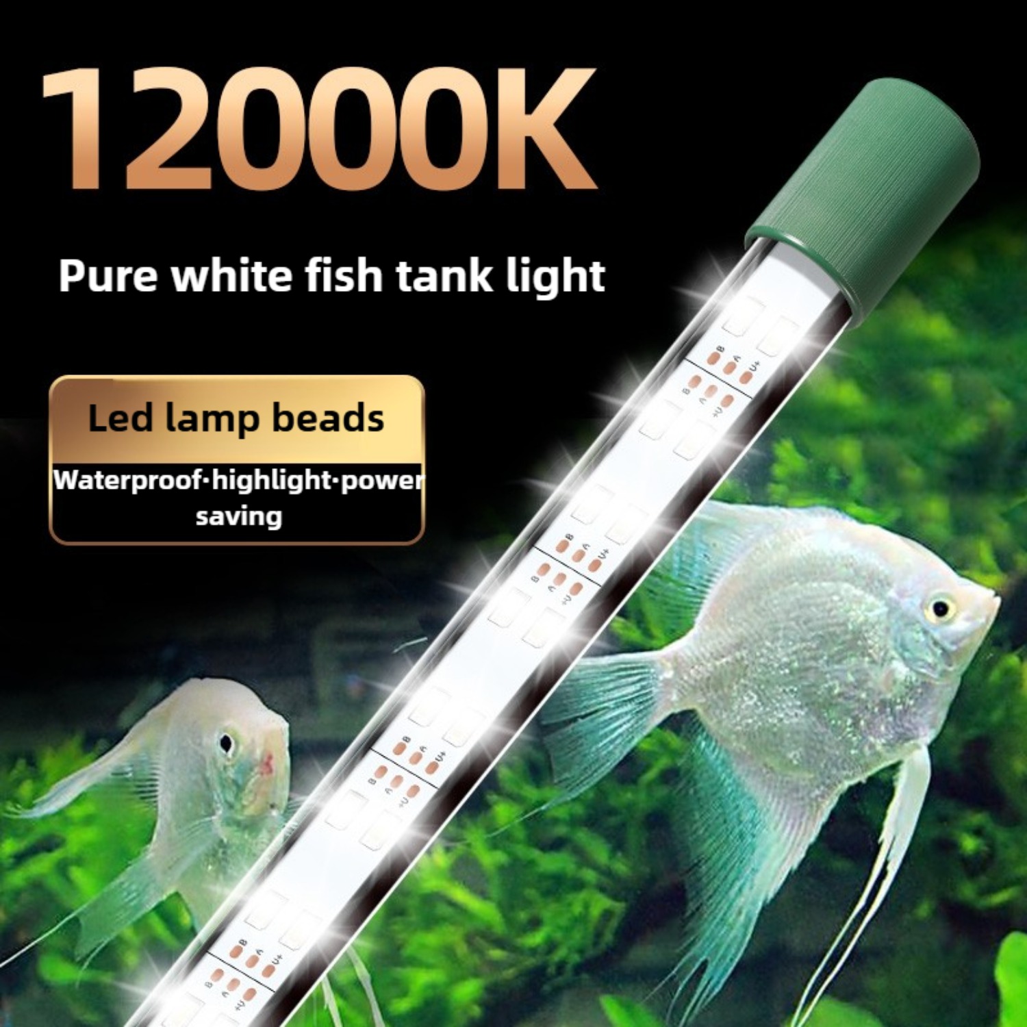 Planted Aquarium Youtube - หลอดไฟ LED สำหรับตู้ปลา 25W แสงสีขาว 12000K