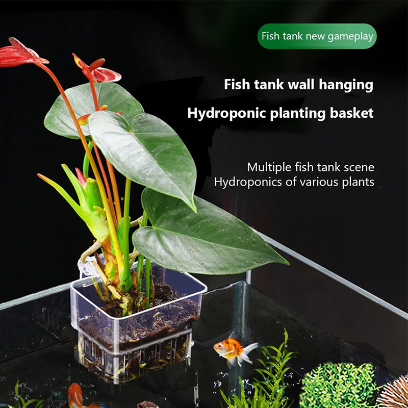 Aquarium Planted Wall - ใหม่【กระถางปลูกต้นไม้แบบแขวนติดผนังสำหรับปลูกพืชน้ำ กระถางปลูกต้นไม้ในตู้ปลา กระถางปลูกต้นไม้ในตู้ปลา】