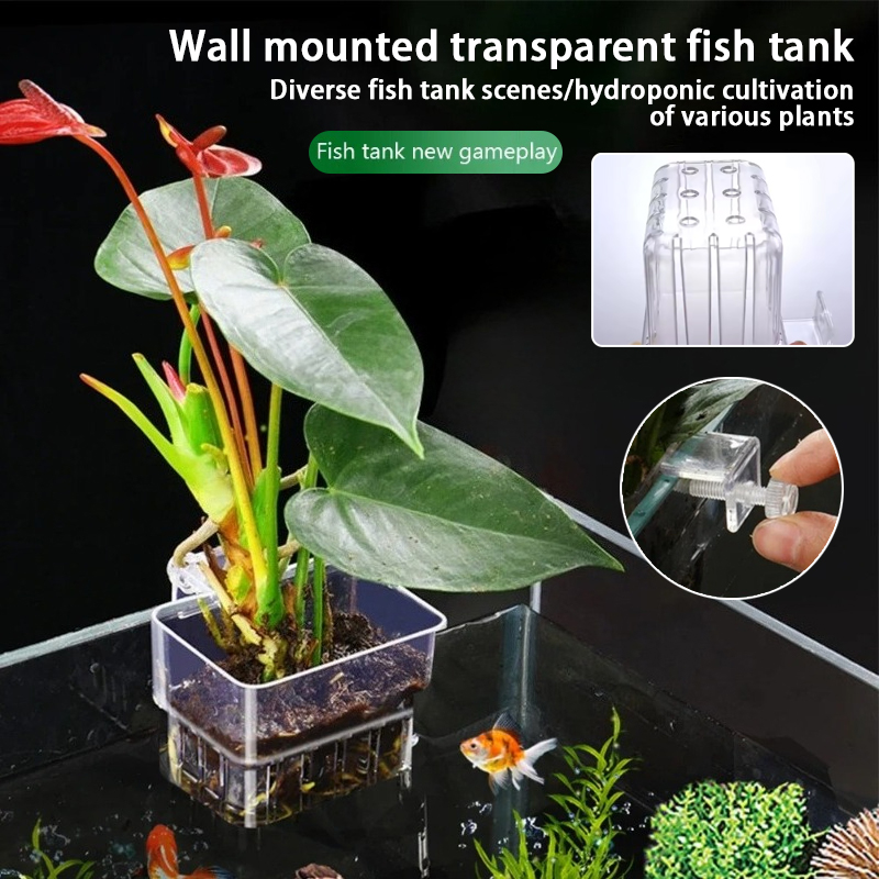 Aquarium Planted Wall - กระถางแขวนติดผนังสำหรับปลูกพืชน้ำในตู้ปลา ตะกร้าปลูกพืชน้ำในตู้ปลา กระถางปลูกพืชน้ำในตู้ปลา