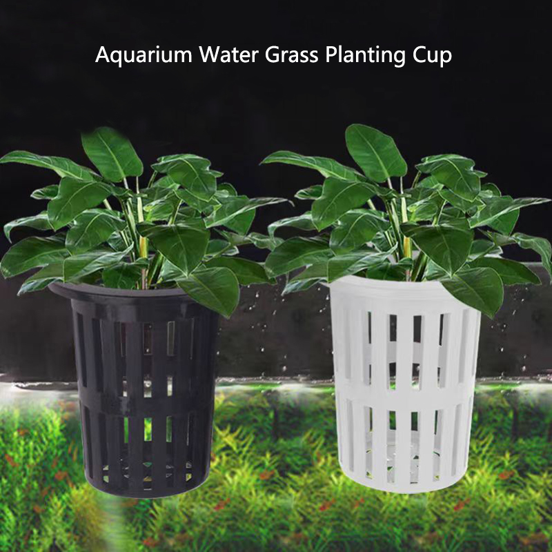 Aquarium Planted Wall - 1/3Pcs Aquarium Plantตะกร้าติดผนังHydroponicแขวนสําหรับถังปลาน้ําพืชผู้ถือตะขอแขวน