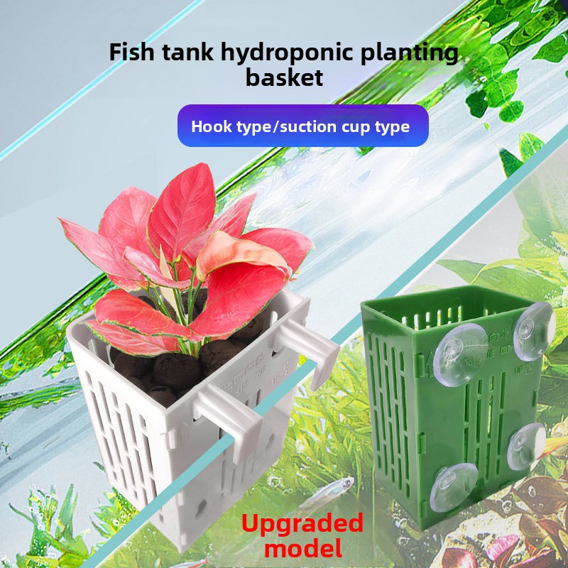 Aquarium Plant Display - ตะกร้าปลูกพืชแบบไฮโดรโปนิกส์ติดผนัง 1 ชิ้น สำหรับตู้ปลา ถ้วยปลูกพืชน้ำสีเขียว ตะกร้าแขวนตกแต่งภูมิทัศน์