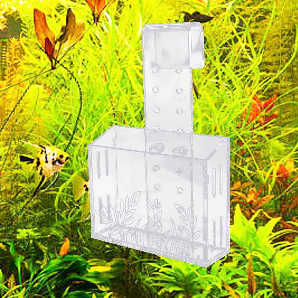 ถ้วยปลูกต้นไม้ในตู้ปลาแบบแขวนผ - Aquarium Planted Wall บทวิจารณ์และราคา