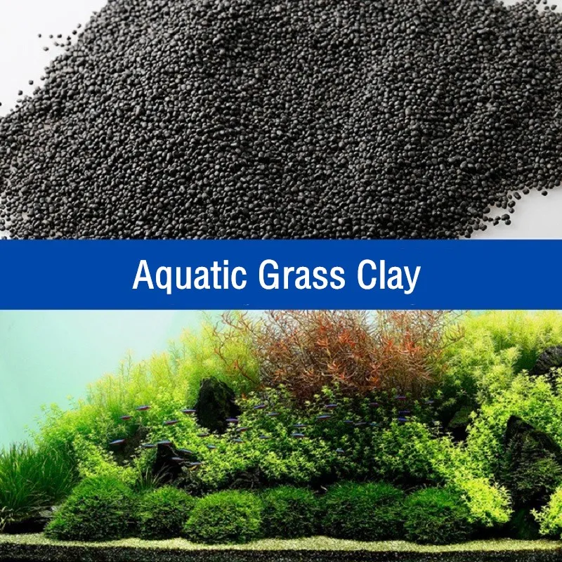 ดินปลูกต้นไม้น้ำ 500 กรัม ปุ๋ย - Planted Aquarium With Sand บทวิจารณ์และราคา