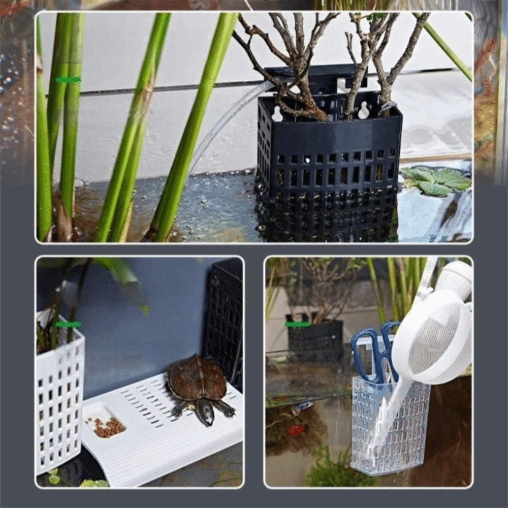 ที่แขวนต้นไม้น้ำแบบติดผนัง ตะข - Aquarium Planted Wall บทวิจารณ์และราคา