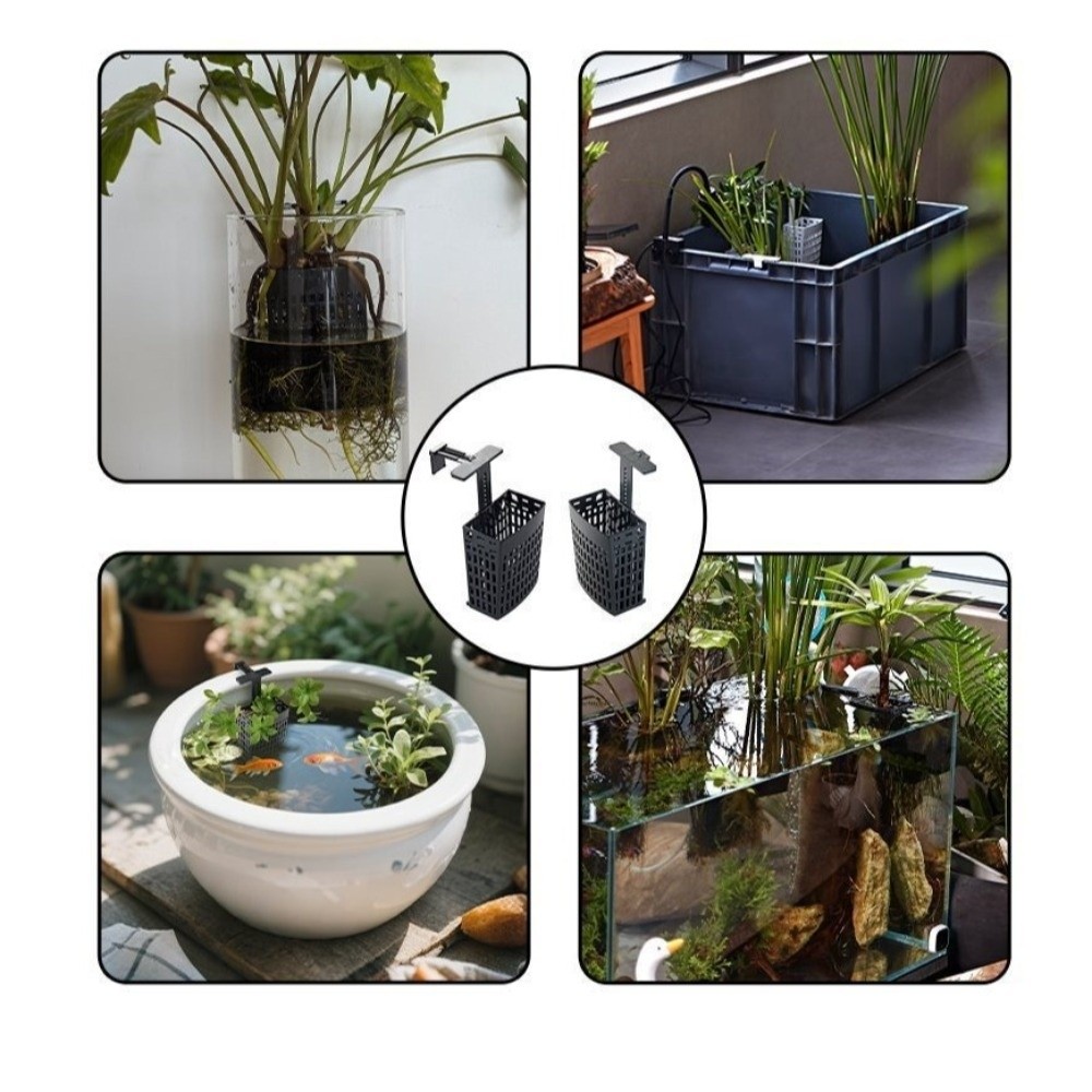 ที่แขวนต้นไม้น้ำแบบติดผนัง ตะข - Aquarium Planted Wall บทวิจารณ์และราคา