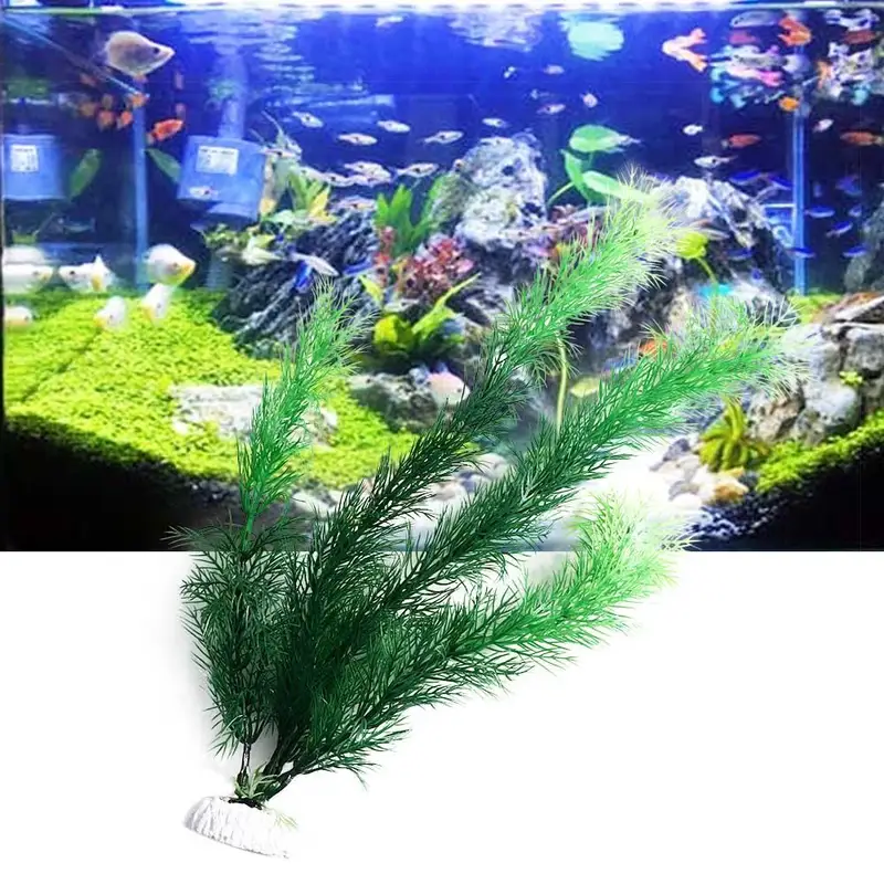 ประดิษฐ์ Aquarium Decor พืชใต้ - Aquarium Plant Display บทวิจารณ์และราคา