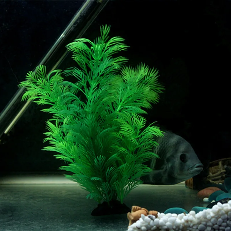 ประดิษฐ์ Aquarium Decor พืชใต้ - Aquarium Plant Display บทวิจารณ์และราคา