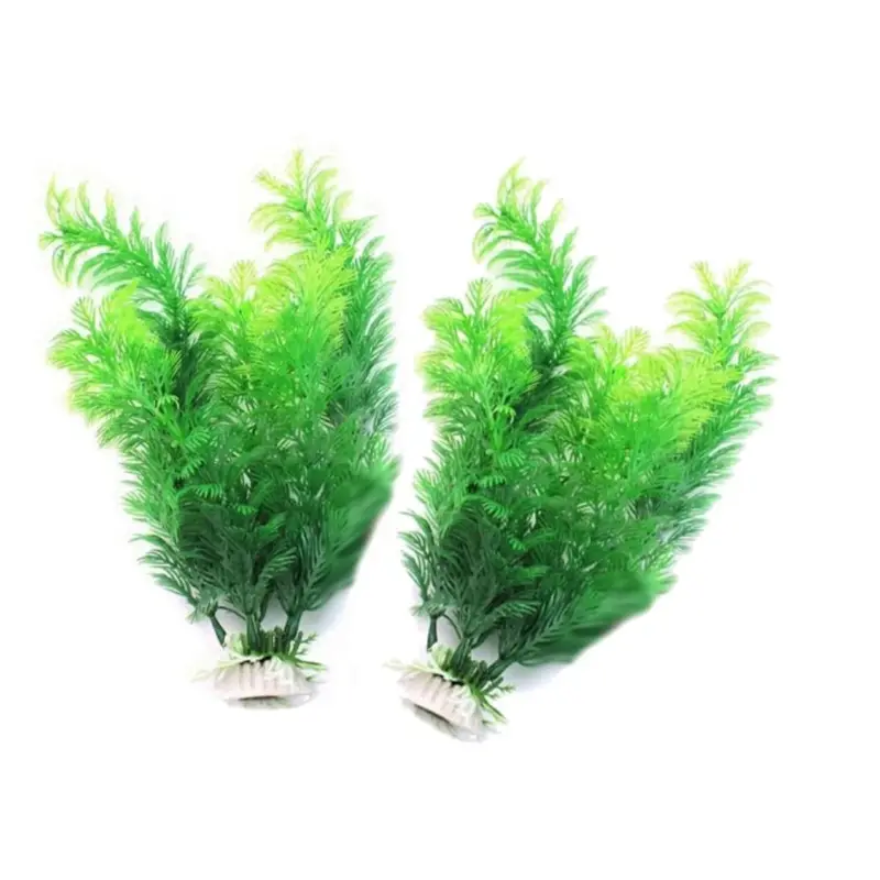 ประดิษฐ์ Aquarium Decor พืชใต้ - Aquarium Plant Display บทวิจารณ์และราคา
