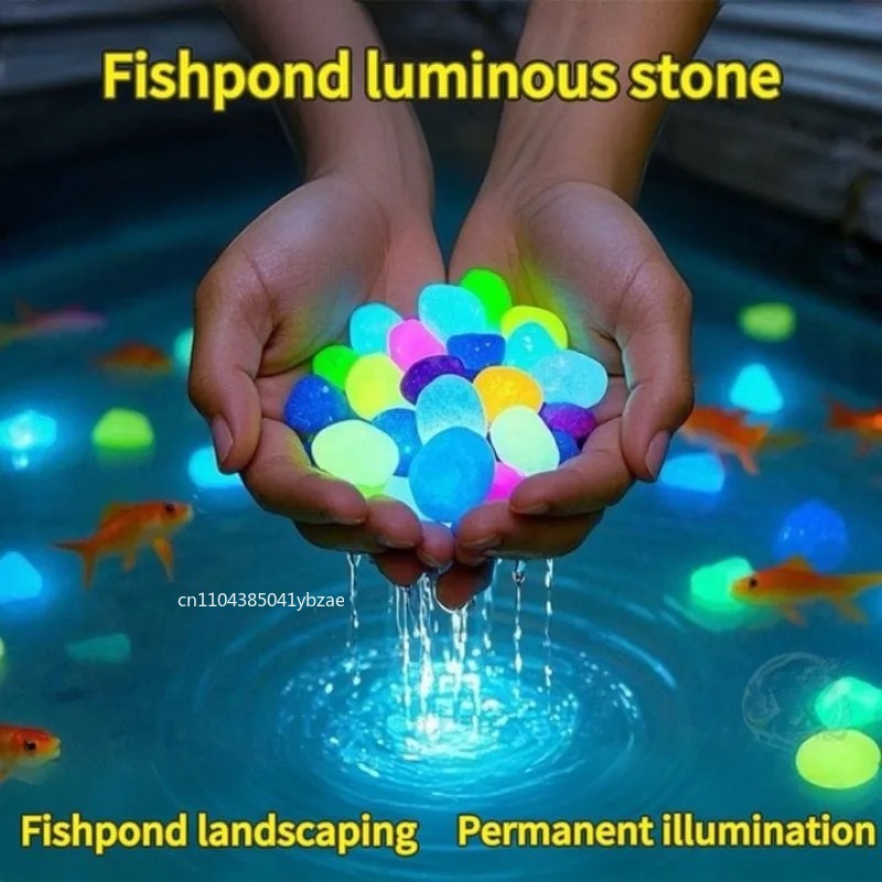 หินเรืองแสงในที่มืด 100-800 ชิ - Aquarium Planted บทวิจารณ์และราคา