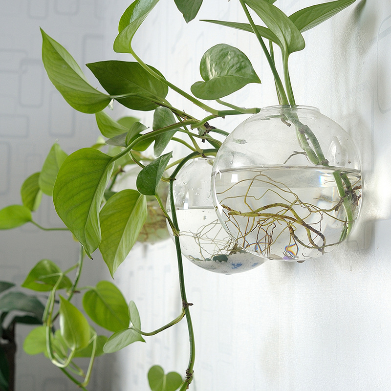 ตู้ปลาอะคริลิคแขวนผนัง แจกันอะ - Aquarium Planted Wall บทวิจารณ์และราคา
