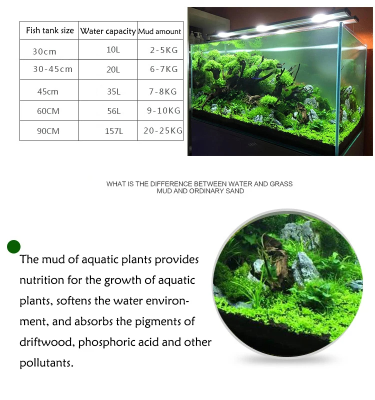 ถังปลาหญ้าน้ำดินดินดินดินดินบ่ - Planted Aquarium With Sand บทวิจารณ์และราคา