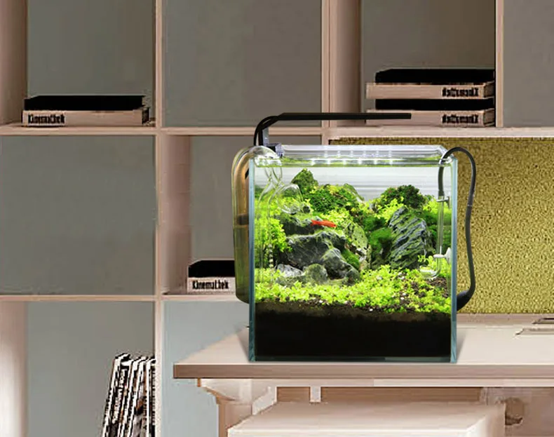 Chihiros C Series ADA สไตล์พืช - Aquarium Plant Display บทวิจารณ์และราคา