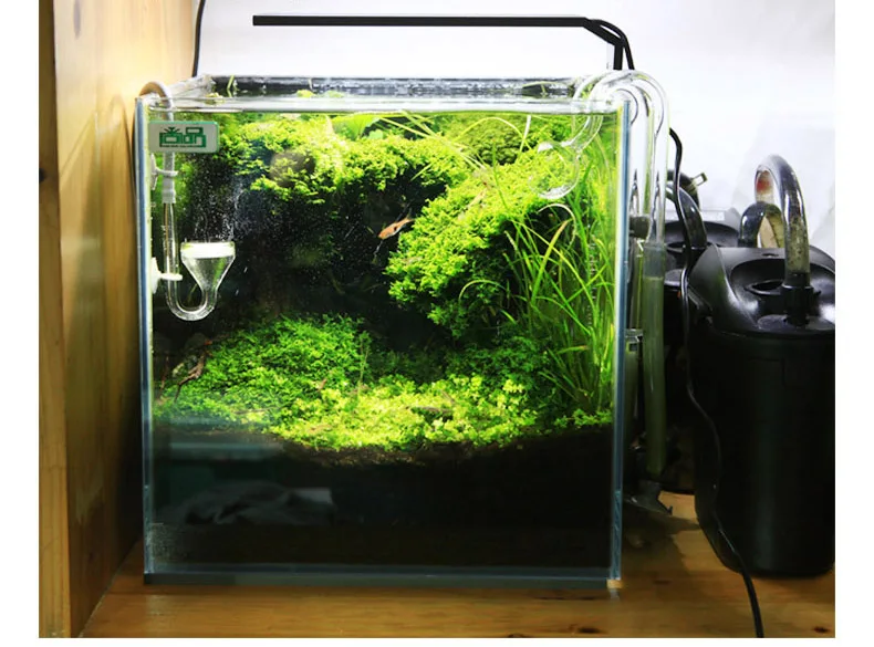 Chihiros C Series ADA สไตล์พืช - Aquarium Plant Display บทวิจารณ์และราคา