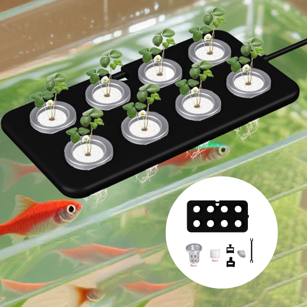 กระเช้าปลูกต้นไม้ลอยน้ำแบบติดผ - Aquarium Planted Wall บทวิจารณ์และราคา