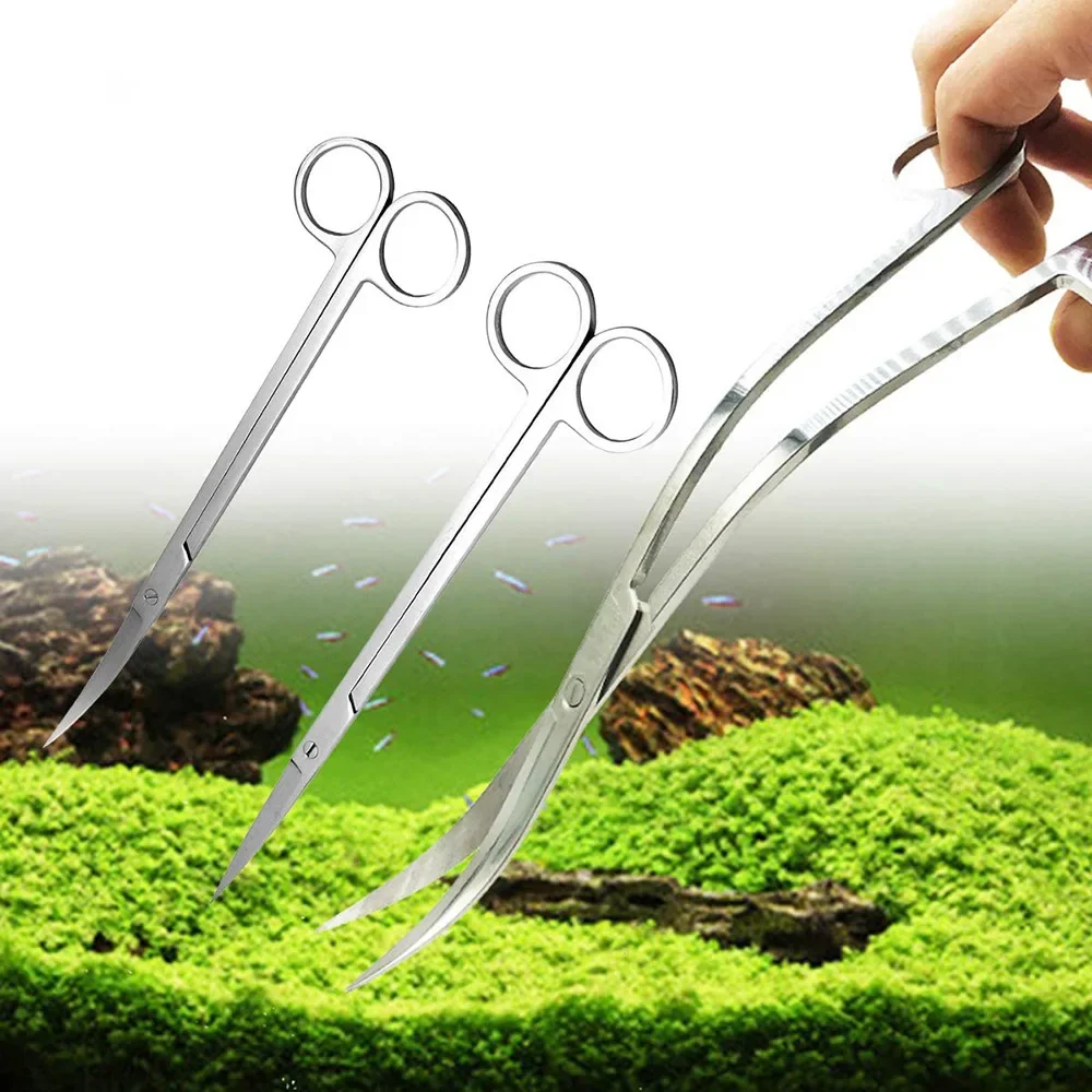 พิพิธภัณฑ์สัตว์น้ําน้ําตัดพืชแ - Planted Aquarium Tank Kit บทวิจารณ์และราคา