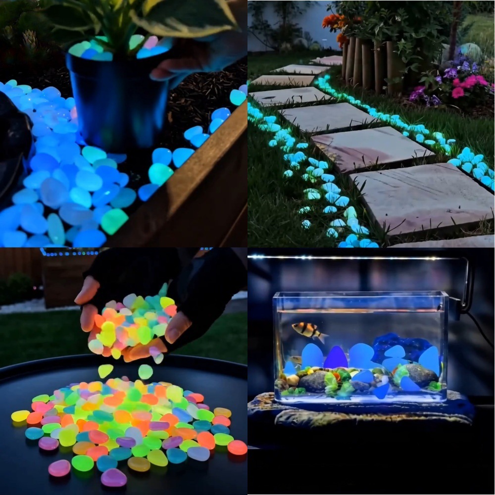 หินเรืองแสงหลากสีสันสำหรับตกแต - Aquarium Planted บทวิจารณ์และราคา