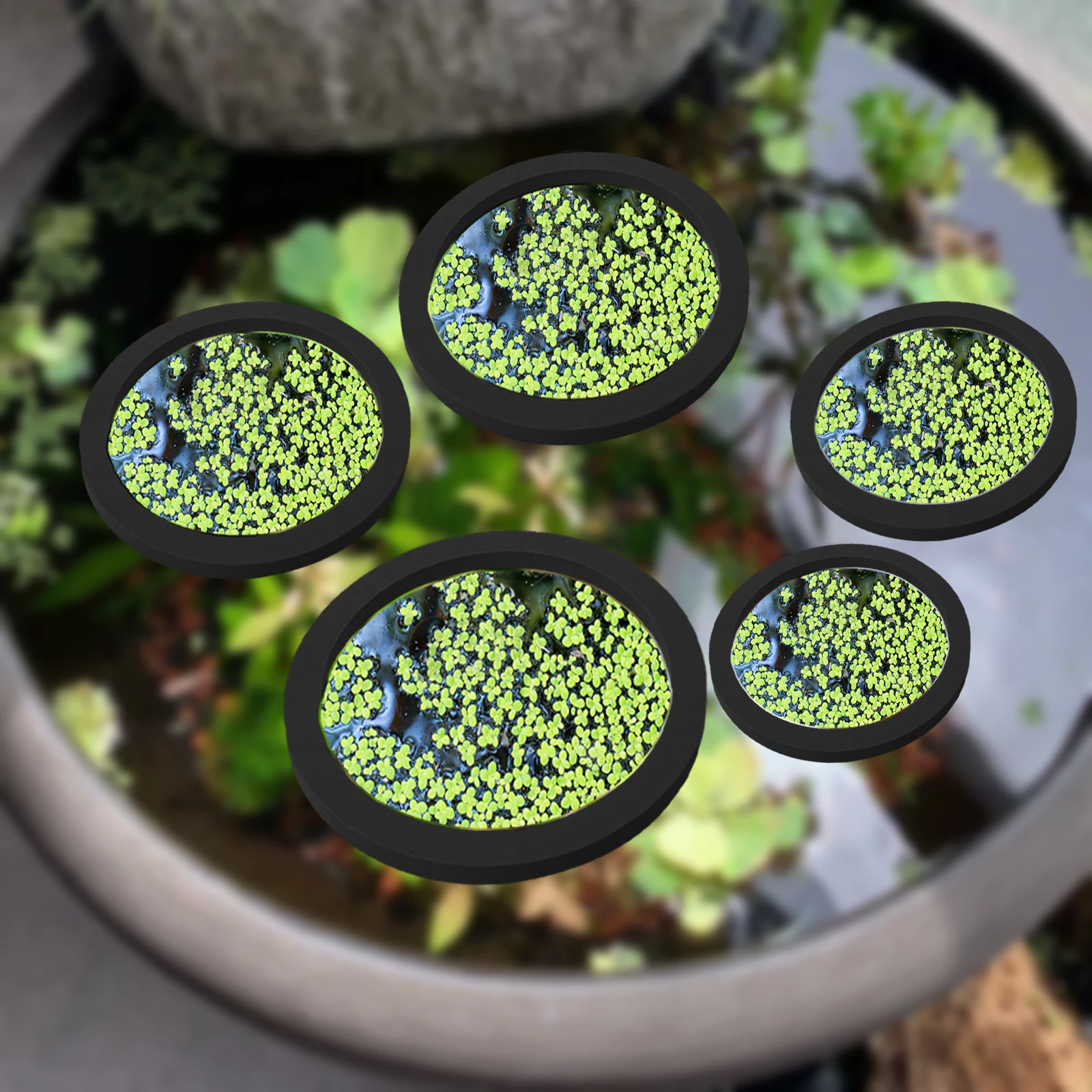 5 ชิ้น EVA ปลา Feeding แหวน Aq - Aquarium Planted บทวิจารณ์และราคา