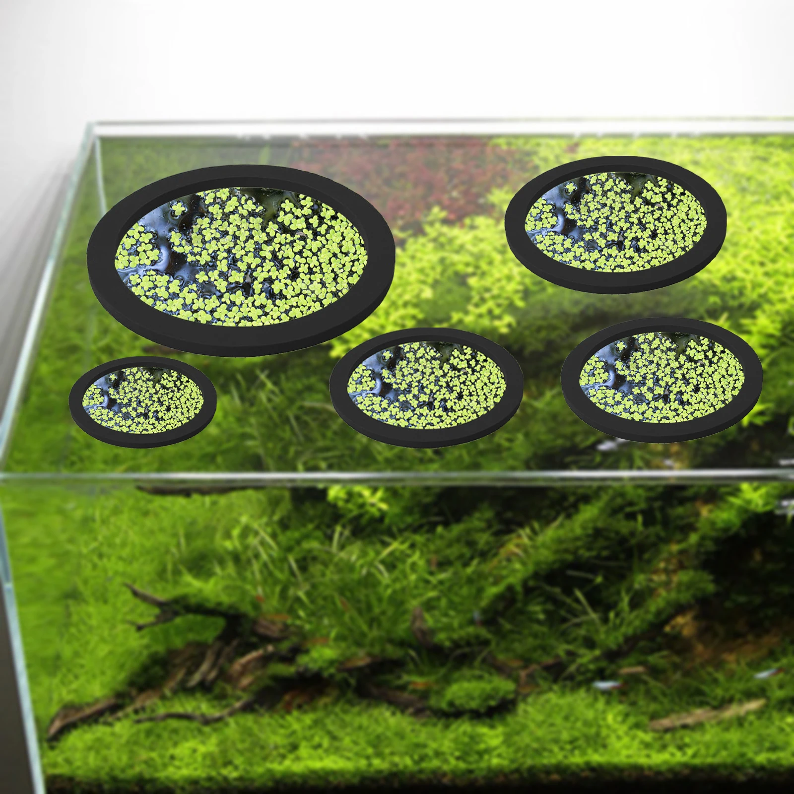 5 ชิ้น EVA ปลา Feeding แหวน Aq - Aquarium Planted บทวิจารณ์และราคา