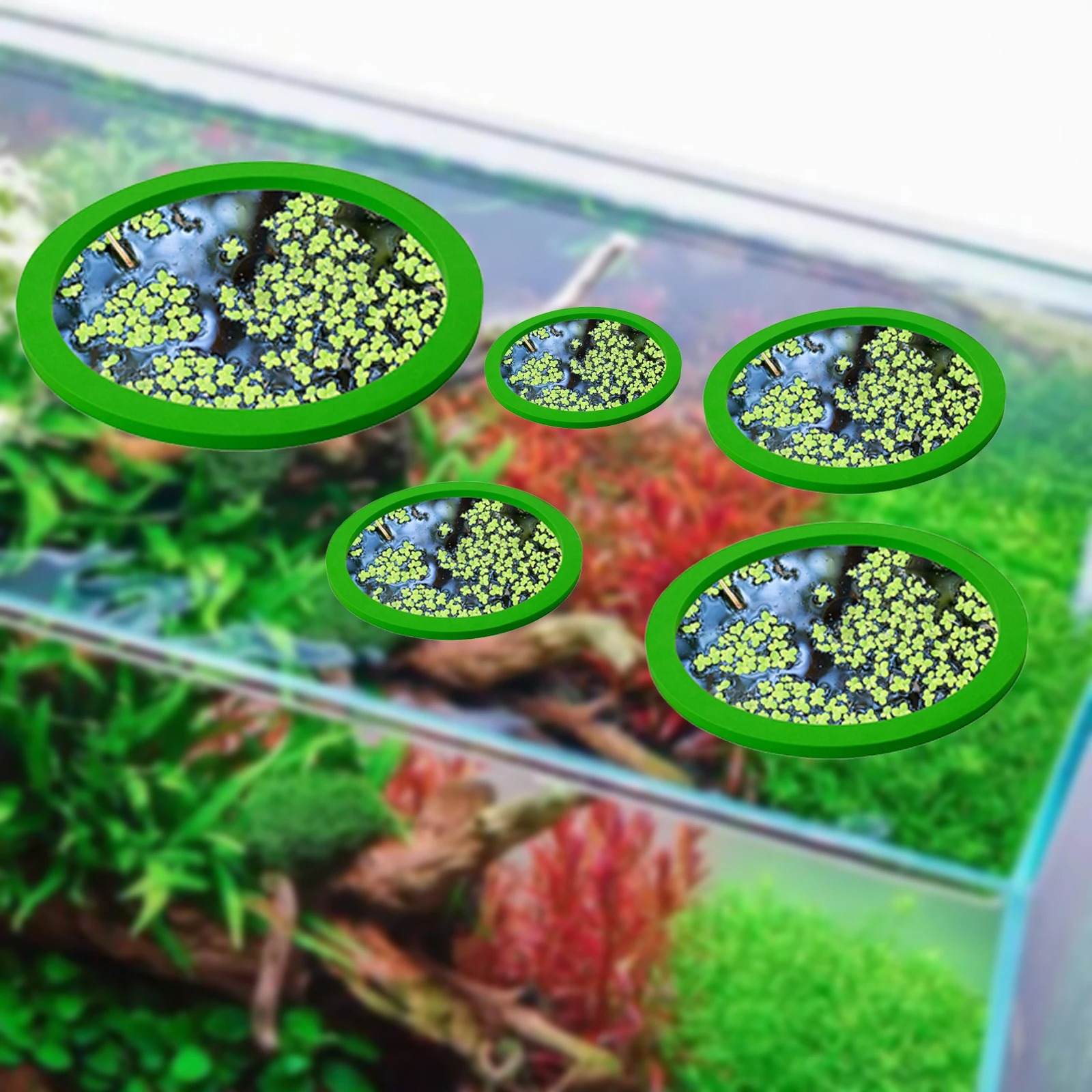 5 ชิ้น EVA ปลา Feeding แหวน Aq - Aquarium Planted บทวิจารณ์และราคา