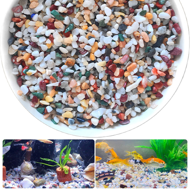 หินกรวดธรรมชาติ 200~1000 กรัม  - Planted Aquarium With Sand บทวิจารณ์และราคา