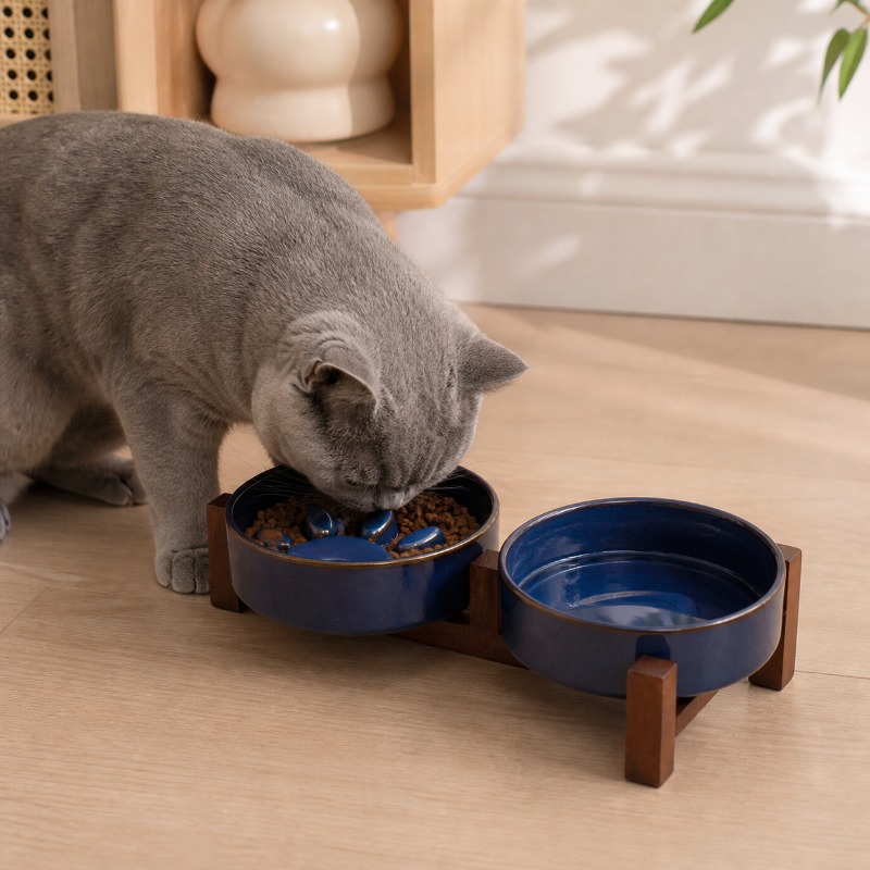 ชามเซรามิกสำหรับสัตว์เลี้ยงสไต - Royal Canin Food Medium บทวิจารณ์และราคา