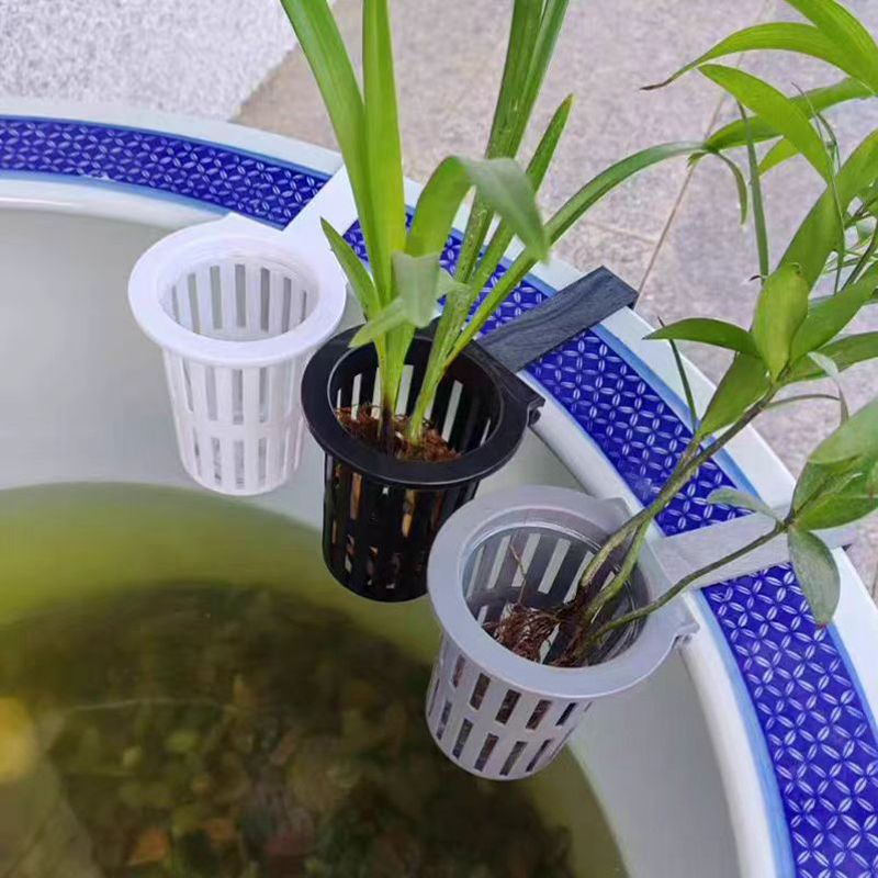 1/3Pcs Aquarium Plantตะกร้าติด - Aquarium Planted Wall บทวิจารณ์และราคา