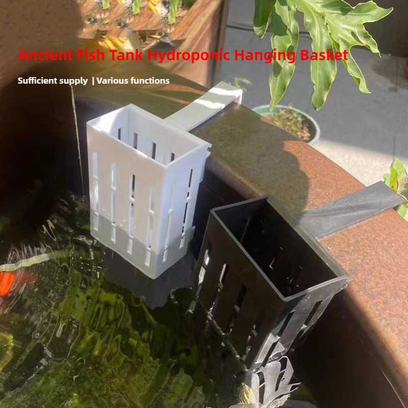 1/3Pcs Aquarium Plantตะกร้าติด - Aquarium Planted Wall บทวิจารณ์และราคา