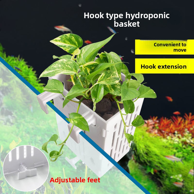 ตะกร้าปลูกพืชแบบไฮโดรโปนิกส์ติ - Aquarium Plant Display บทวิจารณ์และราคา