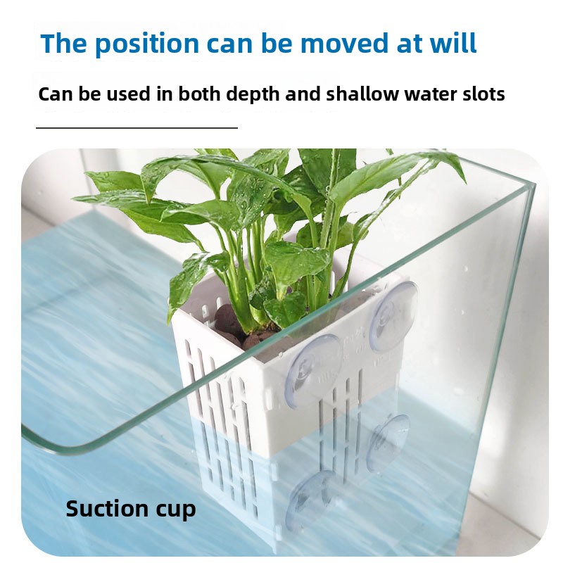 ตะกร้าปลูกพืชแบบไฮโดรโปนิกส์ติ - Aquarium Plant Display บทวิจารณ์และราคา