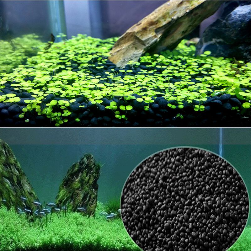 ทรายปลา Auarium พื้นผิว 100g ถ - Planted Aquarium With Sand บทวิจารณ์และราคา