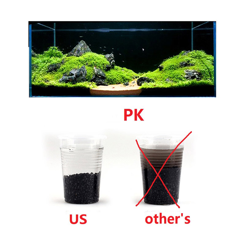 ทรายปลา Auarium พื้นผิว 100g ถ - Planted Aquarium With Sand บทวิจารณ์และราคา