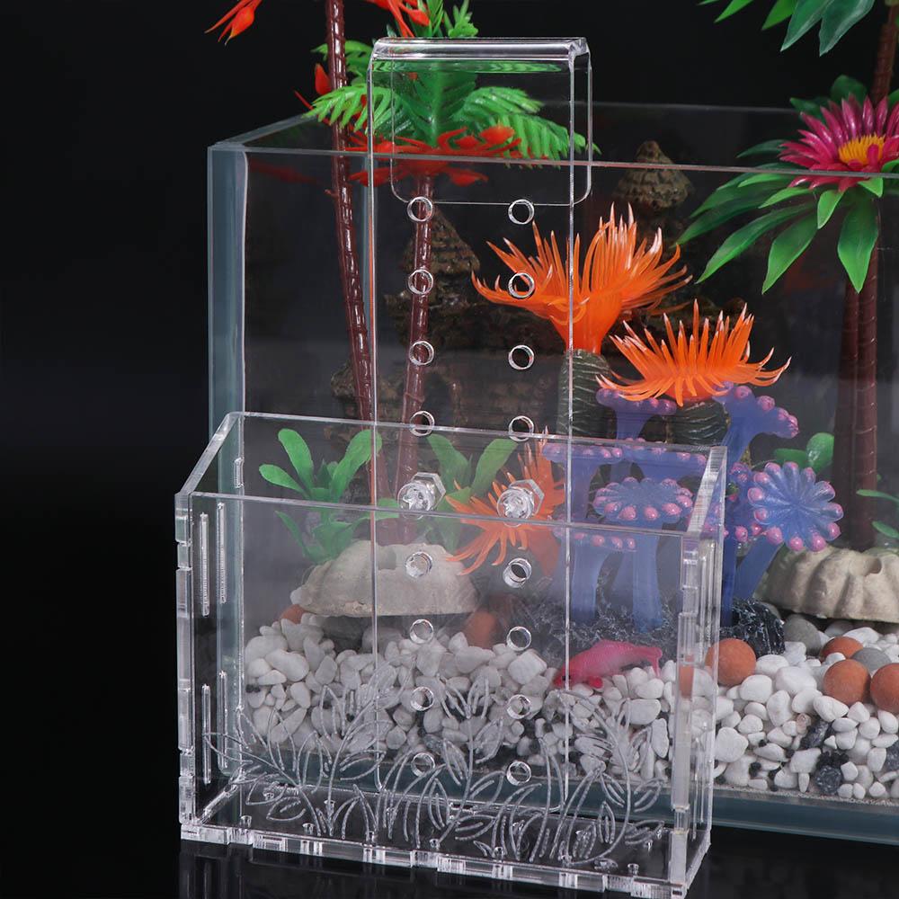 ถ้วยปลูกต้นไม้ในตู้ปลาแบบแขวนผ - Aquarium Planted Wall บทวิจารณ์และราคา