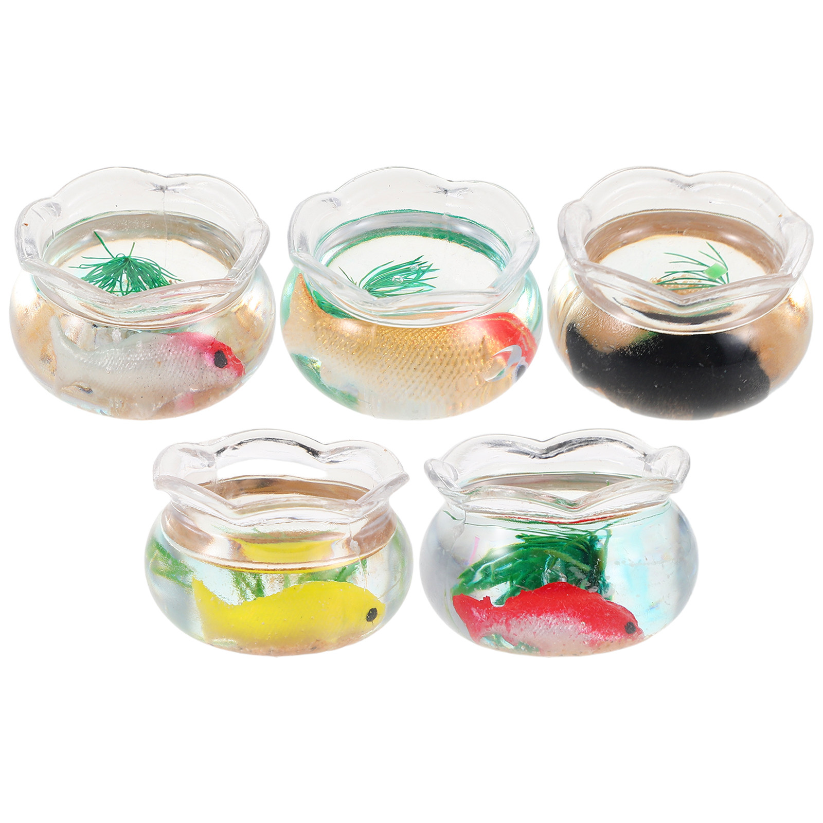 ตู้ปลาขนาดเล็ก 5 ชิ้น ทรงกลม ส - Aquarium Planted บทวิจารณ์และราคา