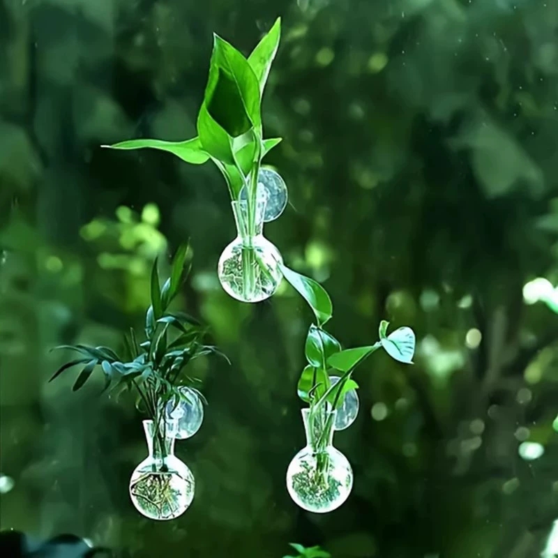 แจกันติดผนังรูปครึ่งวงกลมสำหรั - Aquarium Planted Wall บทวิจารณ์และราคา